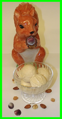 glace noisette et son ecureuil